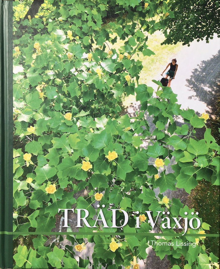 Träd i Växjö